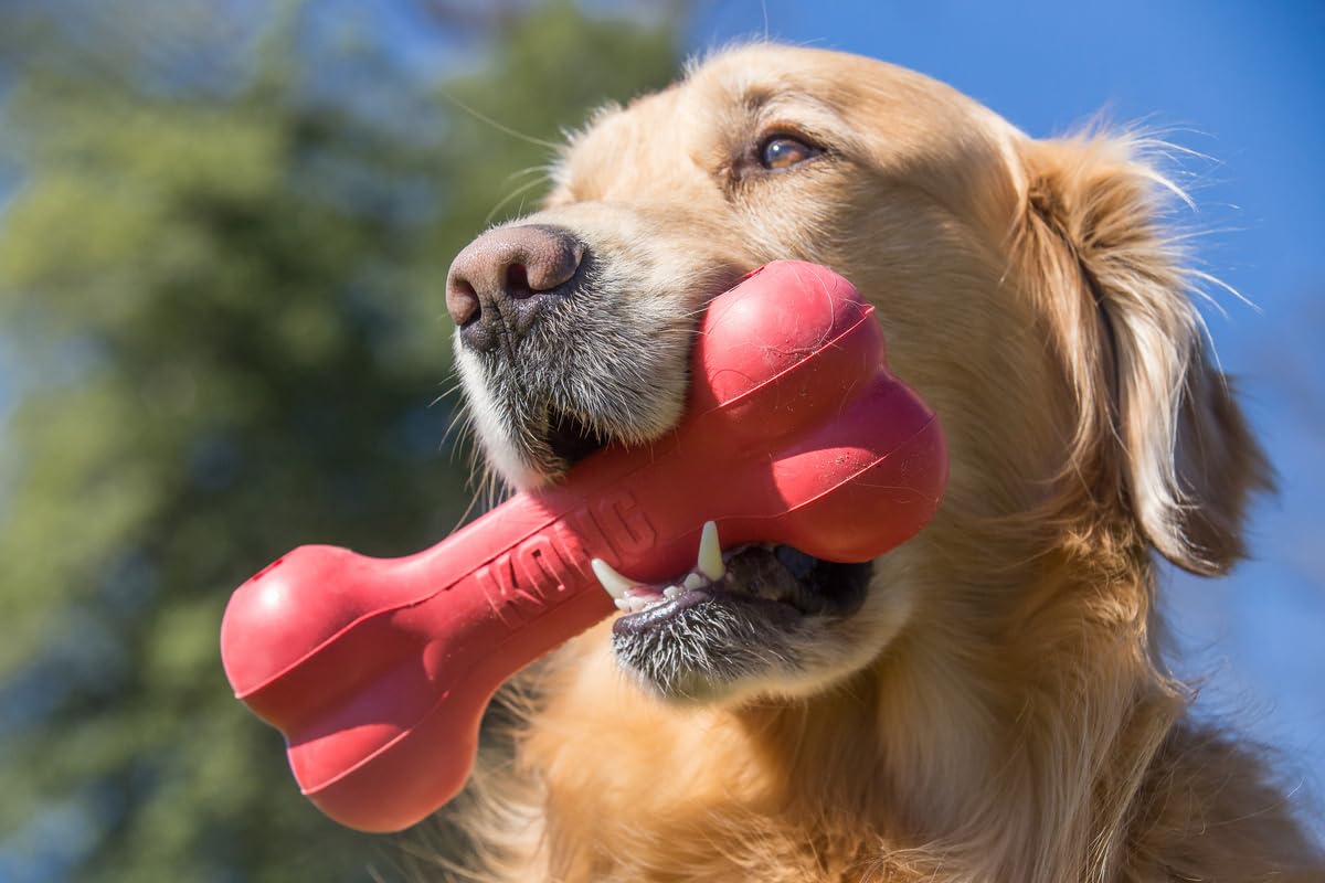 KONG Goodie Bone - Os distributeurs de friandises en caoutchouc naturel - Rouge - Pour grands chiens (lot de 2)