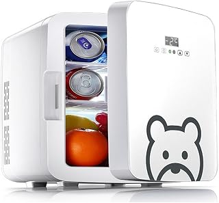 Mini Fridge 10L Mini Small Household Portable Heating and Cooling Box Skin Care Refrigerator Skin Care
