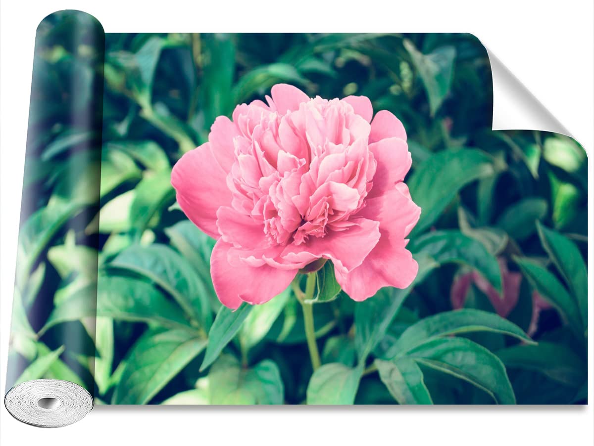 Papier peint pivoines roses Tulup adhésif pour relooker un mur sans colle