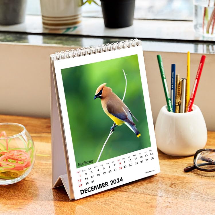 Image of Tallenge - Winged Beauties - 2024 Desk Calendar - 6 x 9 Inches for Home & Office (Paper, Desk Calendar)
