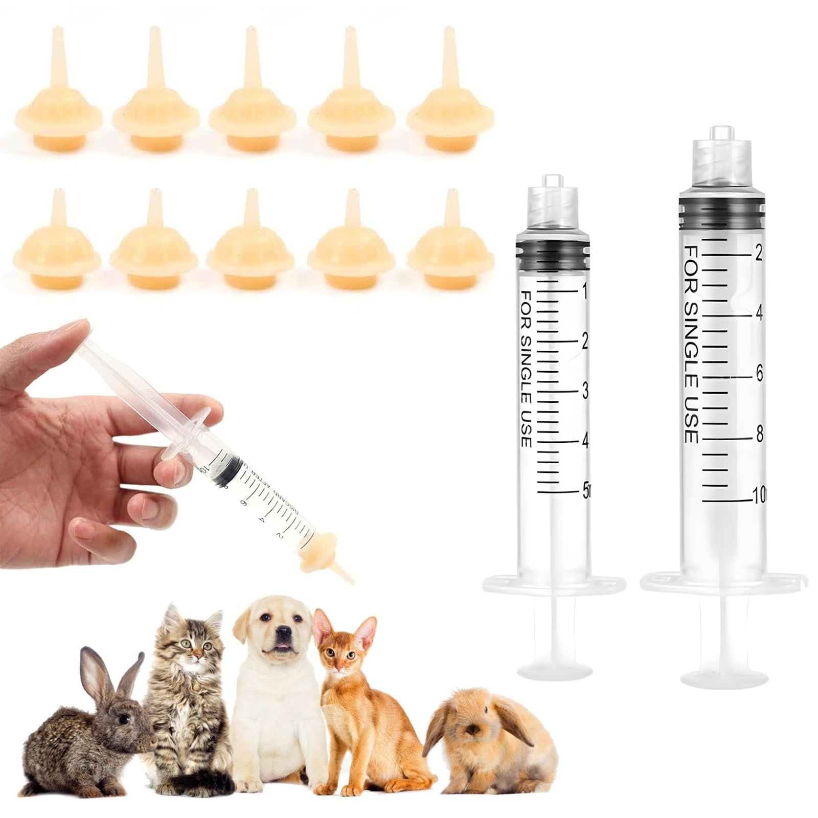 Kitten Hand Feeding Baby Rabbits Baby Bird Feeding Syringe Pet