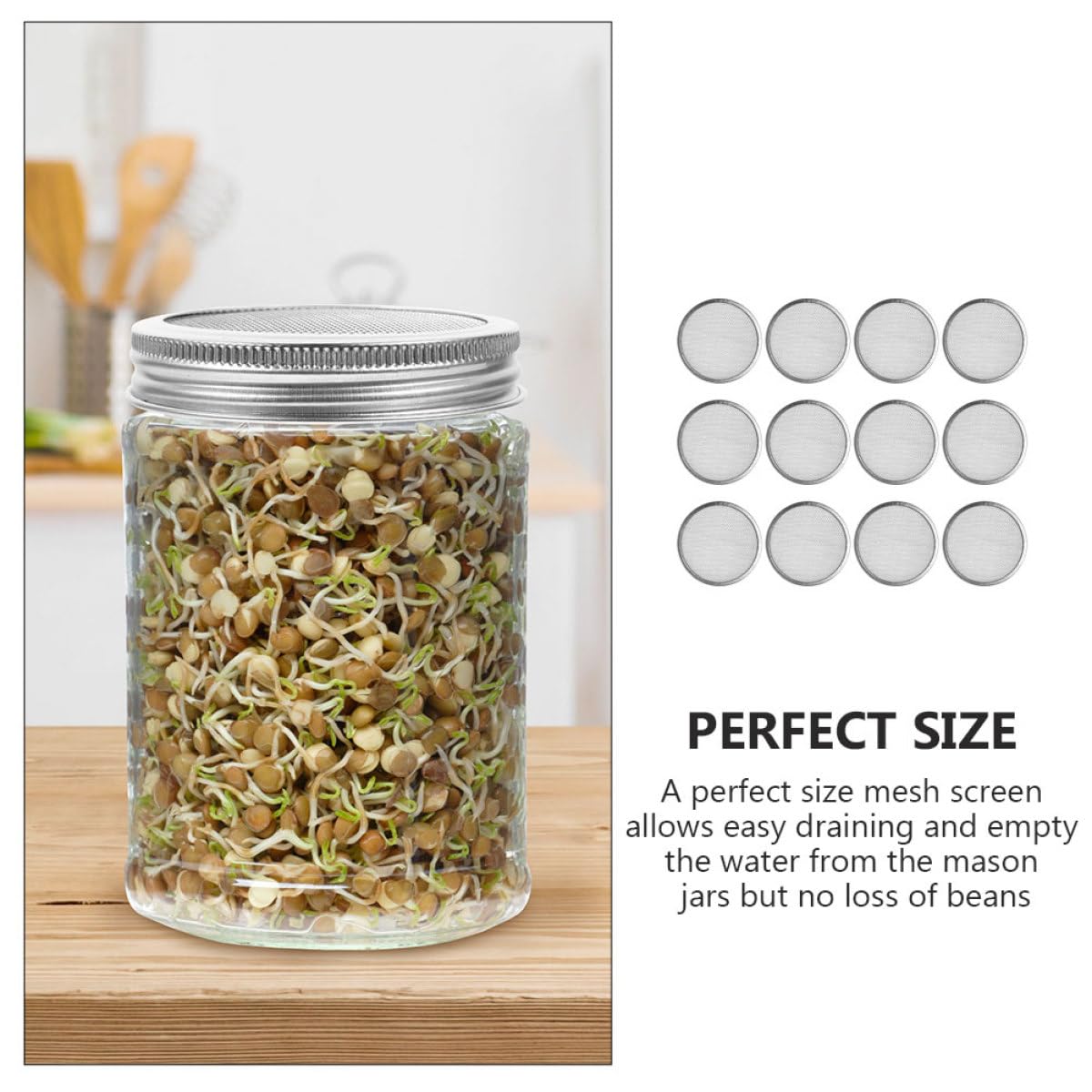 SHINEOFI Tapas de Malla de Acero Inoxidable 304 para Frascos de Germinación de Boca Ancha, Kit de 6 Unidades Anillo de Sellado 70 Mm, Filtro Ventilado para Cultivo de Brotes en Cocina