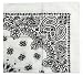 USA Made Military Army Trainmen Paisley 22 (White)