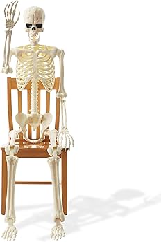 Amazon.com: BOO BOX 74