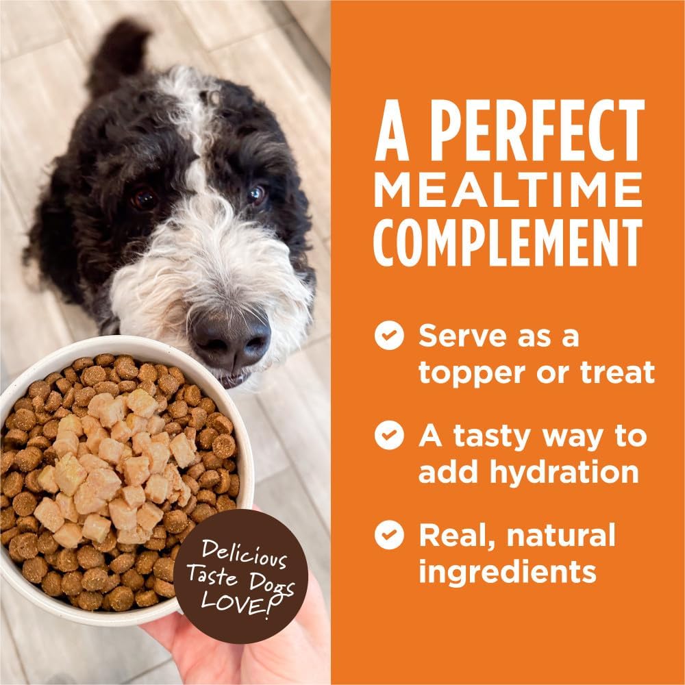 Instinct Healthy Cravings Natural Wet Dog Food Topper, Grain Free Recipe - Real Beef, 3 oz. Pouches (Pack of 24)