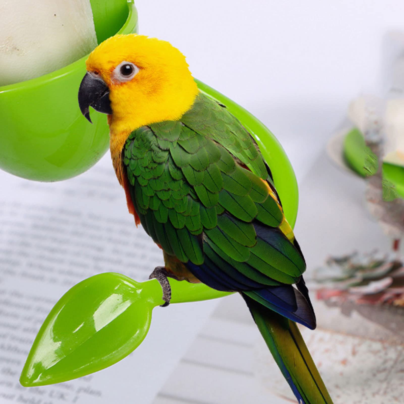 Porta Osso Di Seppia Per Uccelli Kasmole - Per Gabbie Di Pappagalli E Parrocchetti | Design Con Serbatoio - Foto 8