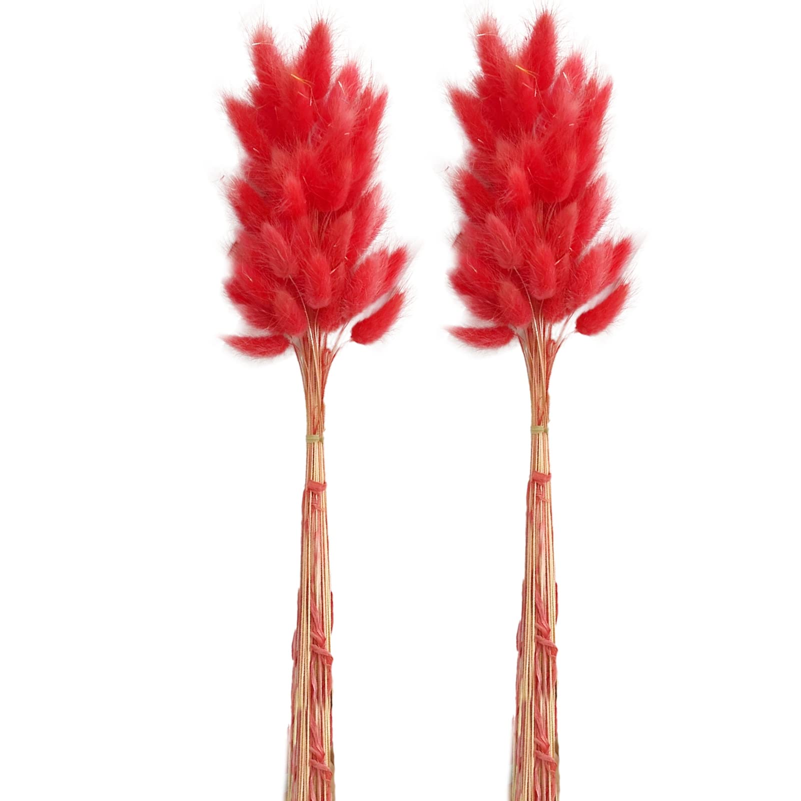 Erba Pampa Coda Di Lepre Secca - 120 Pezzi Verde E Viola, Decorazione Boho Per Casa E Matrimoni - Foto 7