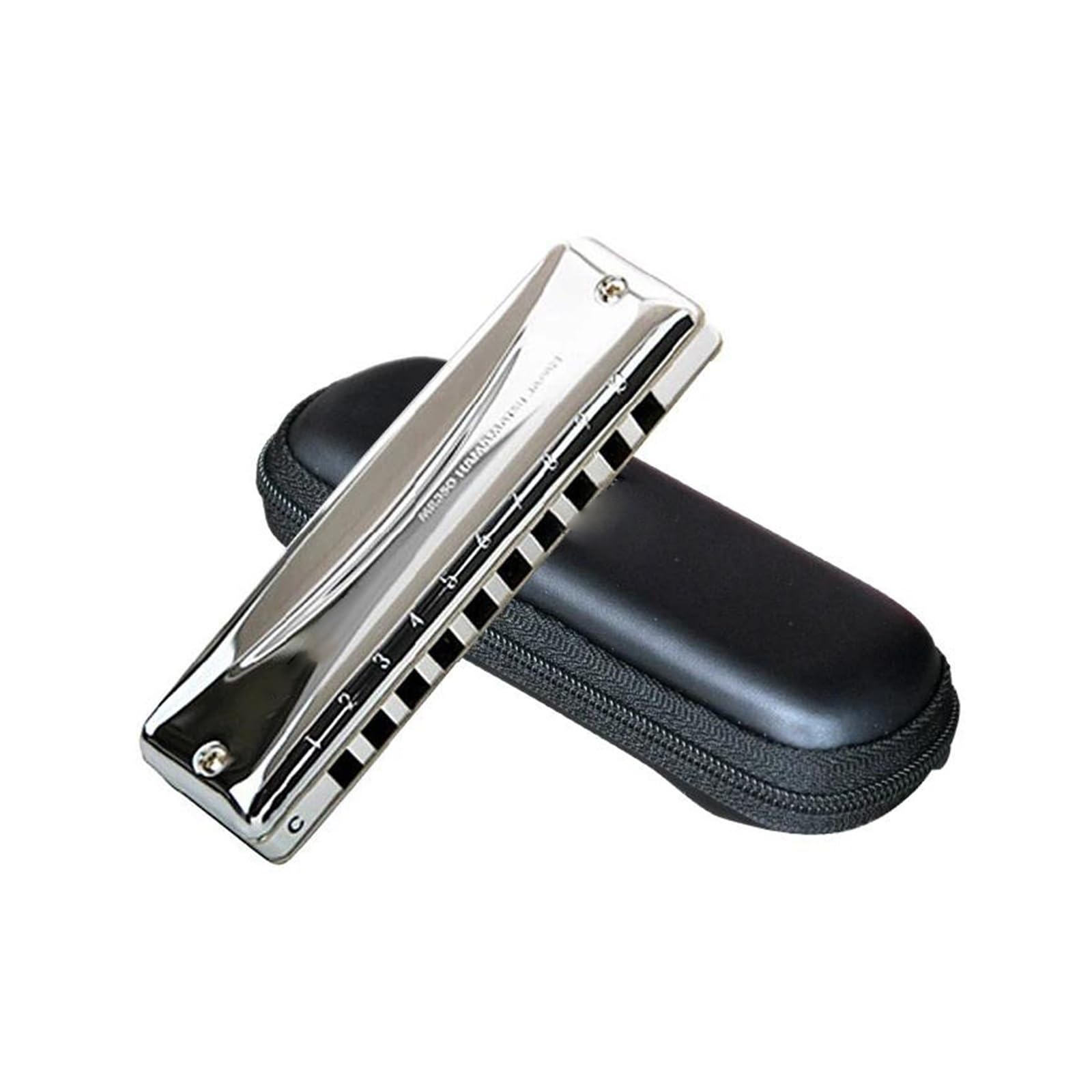 Armonica Armonica diatonica a 10 fori Blues Harp Armonica professionale in tonalità di Do