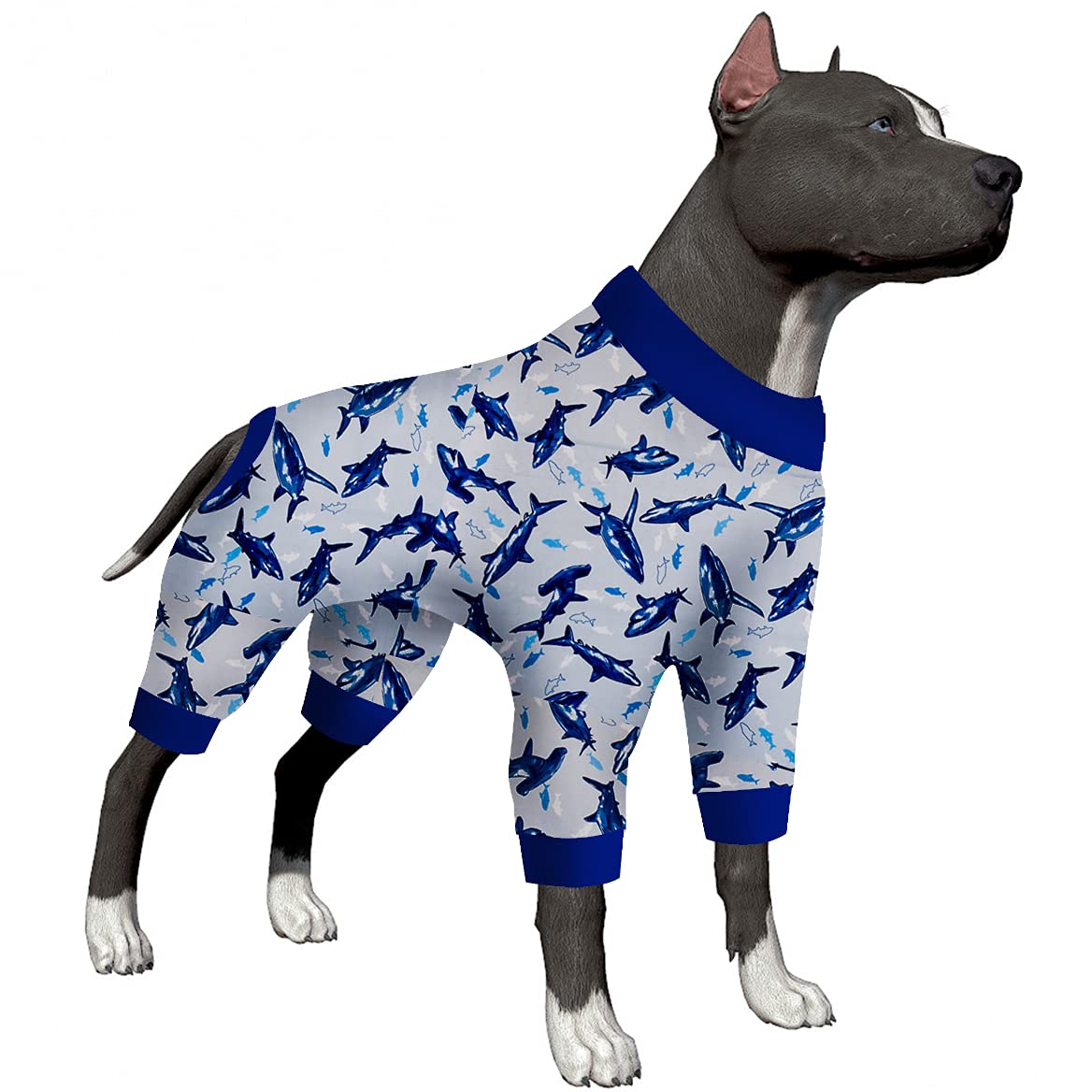 big dogg clothing