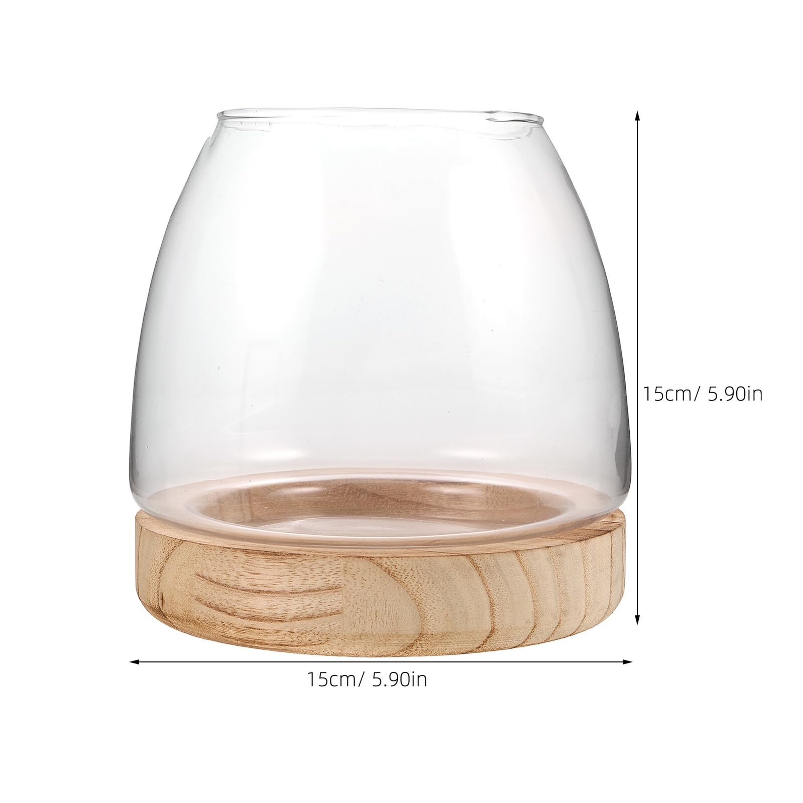 Vase Hydroponique Verre avec Base Pot à Fleurs Eau Transparent pour Propagation Décor Moderne pour Bureau et Maison