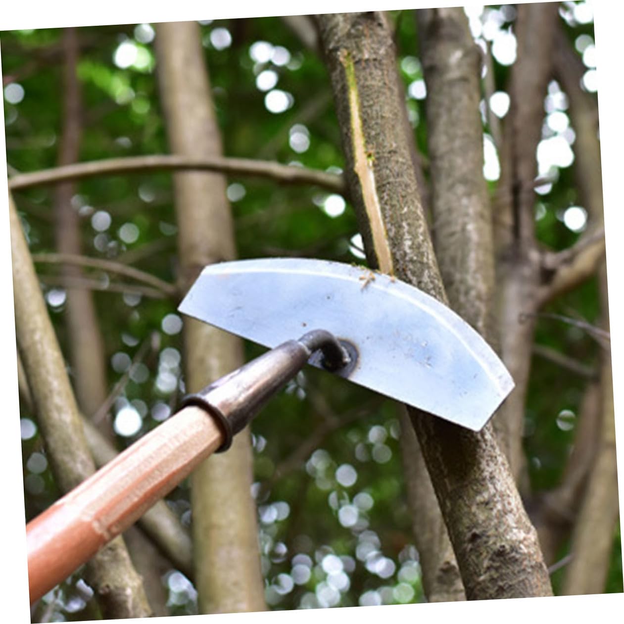 BESTonZON 3 Stck. Hand Hacke Multifunktionales Gartenwerkzeug zum Entfernen von Robuste und Leichte Garten Hacke für Präzise Gartenpflege für Gartenliebhaber und Pflanzenfreunde