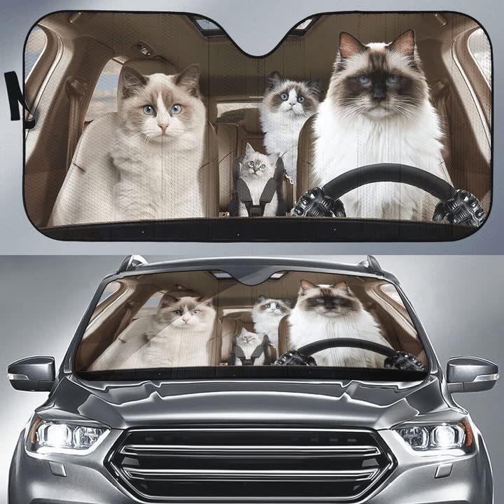Pare-Soleil Avant Voiture Universel M - Protection Pare-Brise Isotherme Chat Birman pour SUV