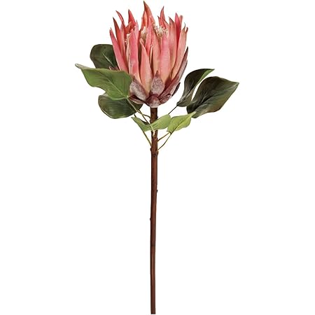 Amazon 東京堂 造花 ピンク Magiqブランド キングプロテア Fw 002 造花 オンライン通販