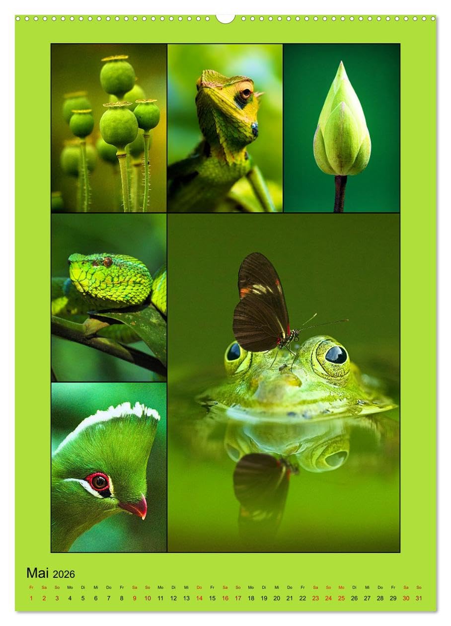 Farbsymphonien der Natur (hochwertiger Premium Wandkalender 2026 DIN A2 hoch), Kunstdruck in Hochglanz: Stimmungsvolle Collagen in faszinierenden unterschiedlichen Farbkombinationen (CALVENDO Natur)