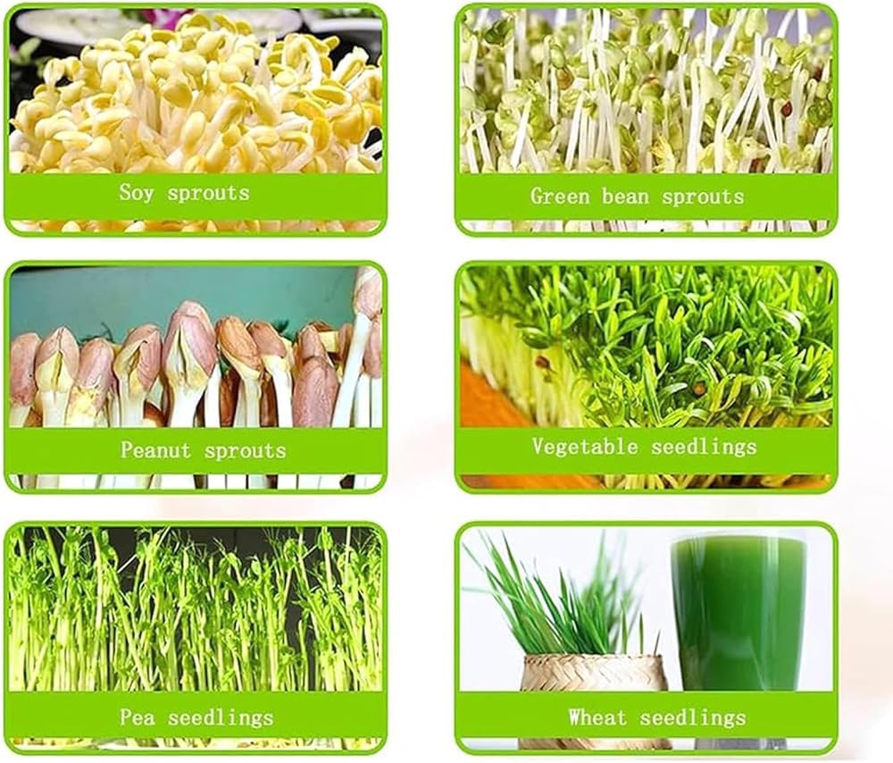 Máquina automática de brotes de frijoles, herramientas eléctricas de germinación de semillas con temperatura constante inteligente para una brotación eficiente y de bajo consumo
