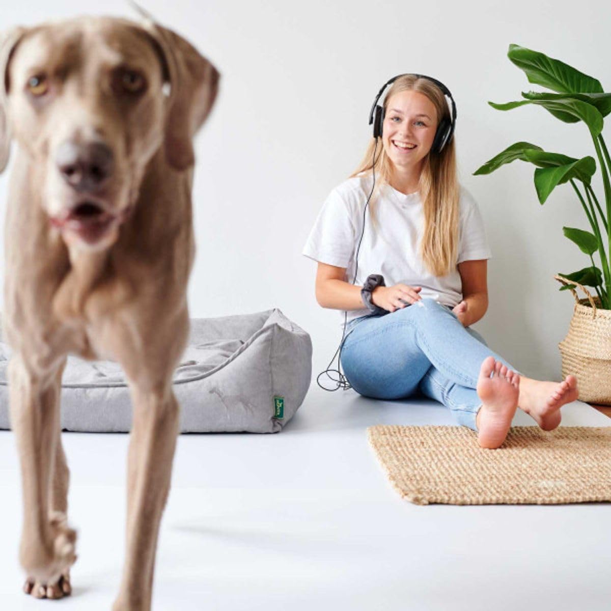 HUNTER EIBY Hundesofa, schmutzabweisend, Easy CLEAN-Technologie, pflegeleicht, M, grau