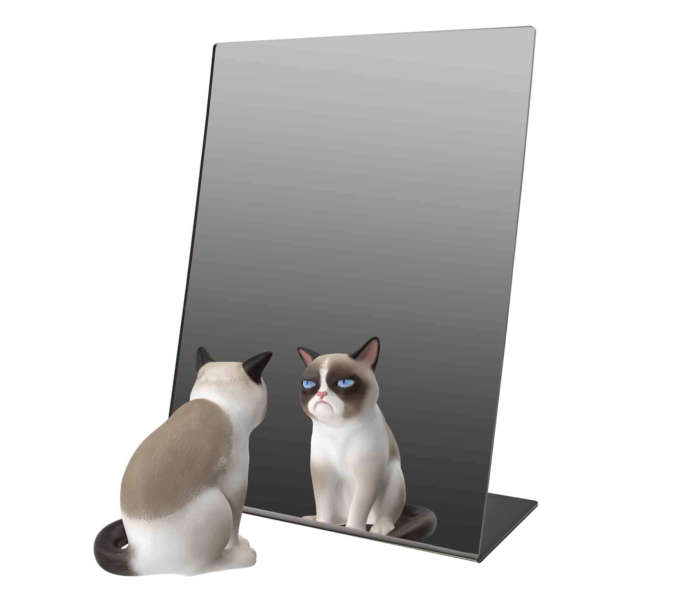 Marketing Holders Acrylic Easel Mirror 9