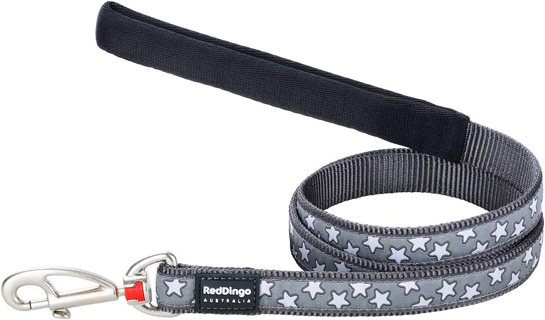 grey dog lead