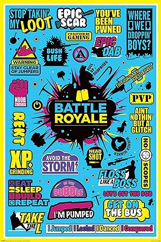 Battle Royale affisch infographic 2