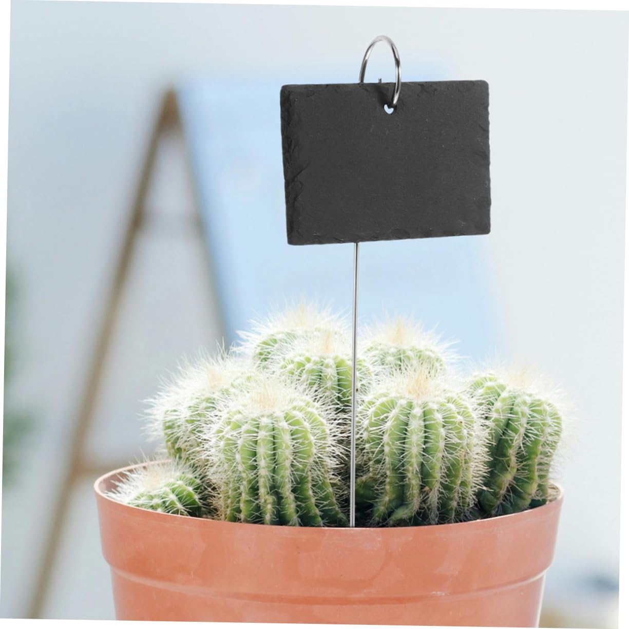 園芸ネット本店｜フラワーラベル大 (10×20)×35cm の通販【公式】 Weysat 200枚 12インチ 広葉樹植物ラベル 畑やコンテナ用 植物タグ ウッドガーデンステークス 苗 ガーデンラベル マーカ