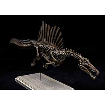 世界に一つ、不世出　スピノサウルス　1/10 木彫　頭骨模型　１９㎝ 世界に一つ、不世出 スピノサウルス 1/10 木彫 頭骨模型 19