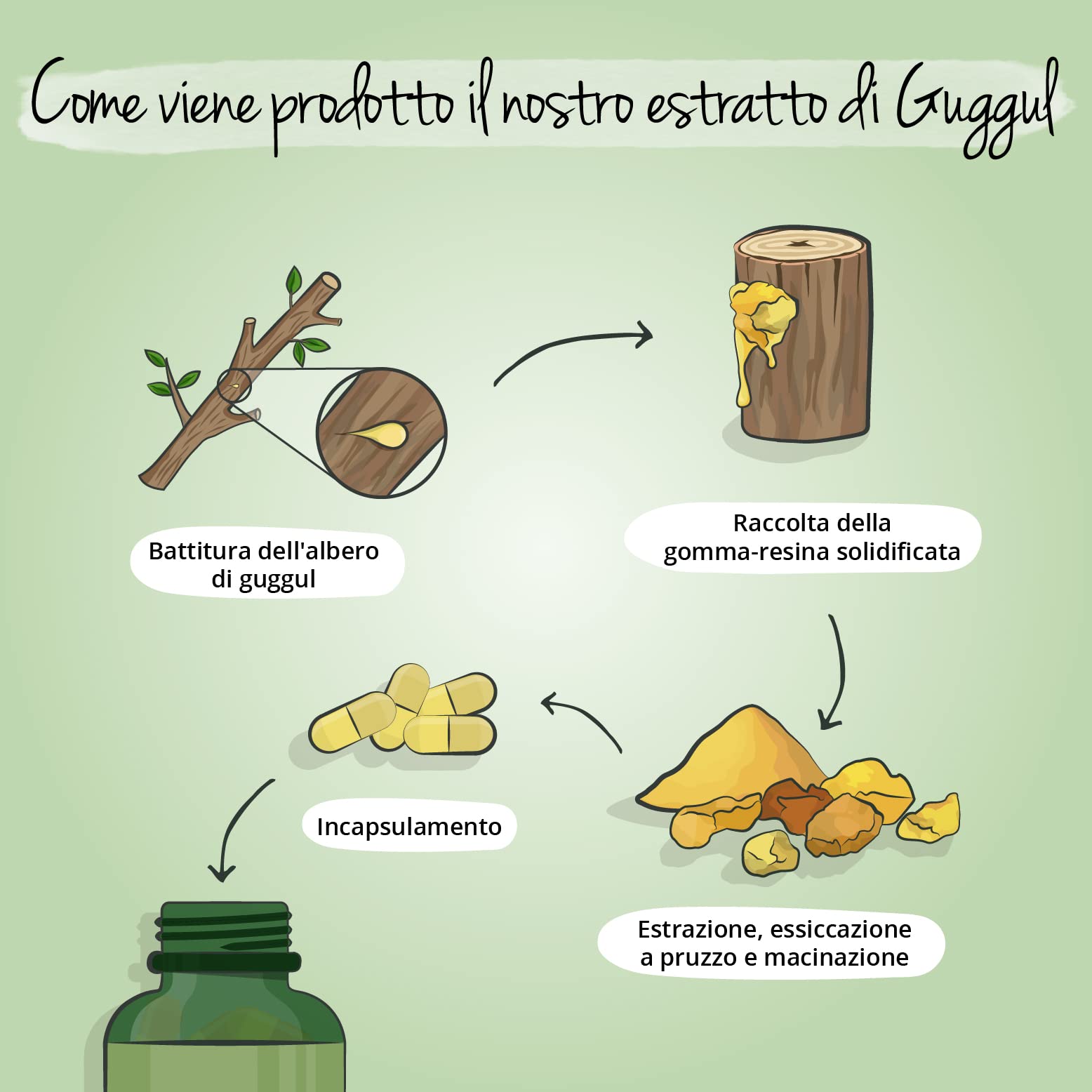 GUGGUL Vegavero® | 7.500 mg (15:1) | 120 capsule | con 5% di Guggulsteroni | Resina di Mirra | Medicina Ayurveda | Vegan