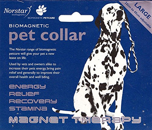 Norstar Magnetisches Haustierhalsband für Hunde, verbessert die Durchblutung des Haustiers, beschleunigt die Genesung von Verletzungen und steigert Vitalität und Energie, hochfeste Neodym-Magnete,