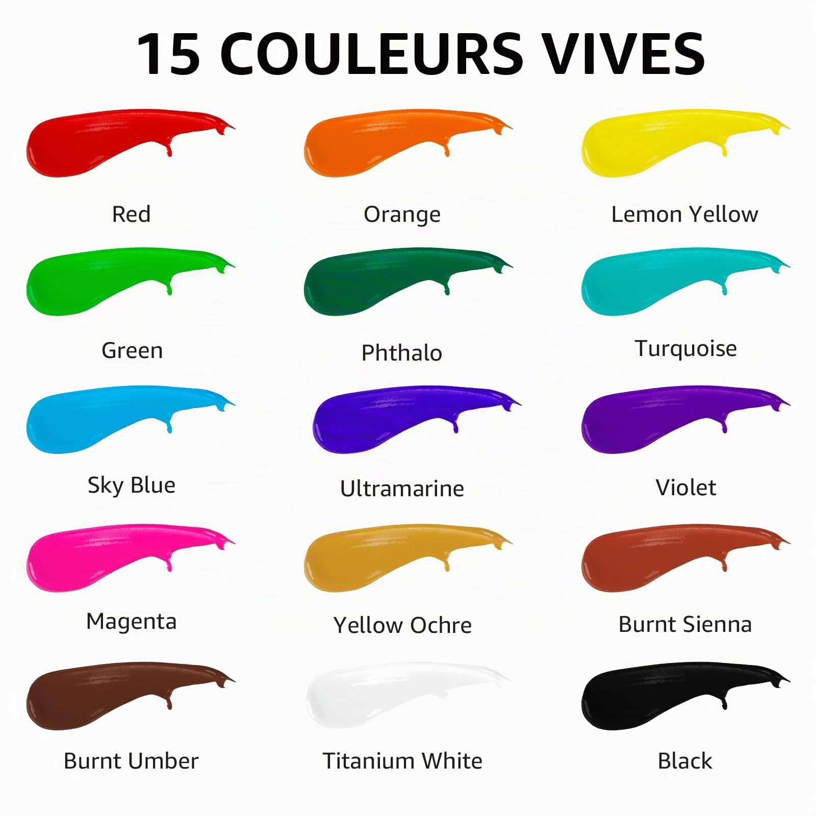 ABEIER Lot de 15 peintures acryliques imperméables pour l'extérieur, grandes bouteilles de 250 ml, couleurs résistantes à la lumière pour débutants, adultes et artistes sur bois, pierres, murs