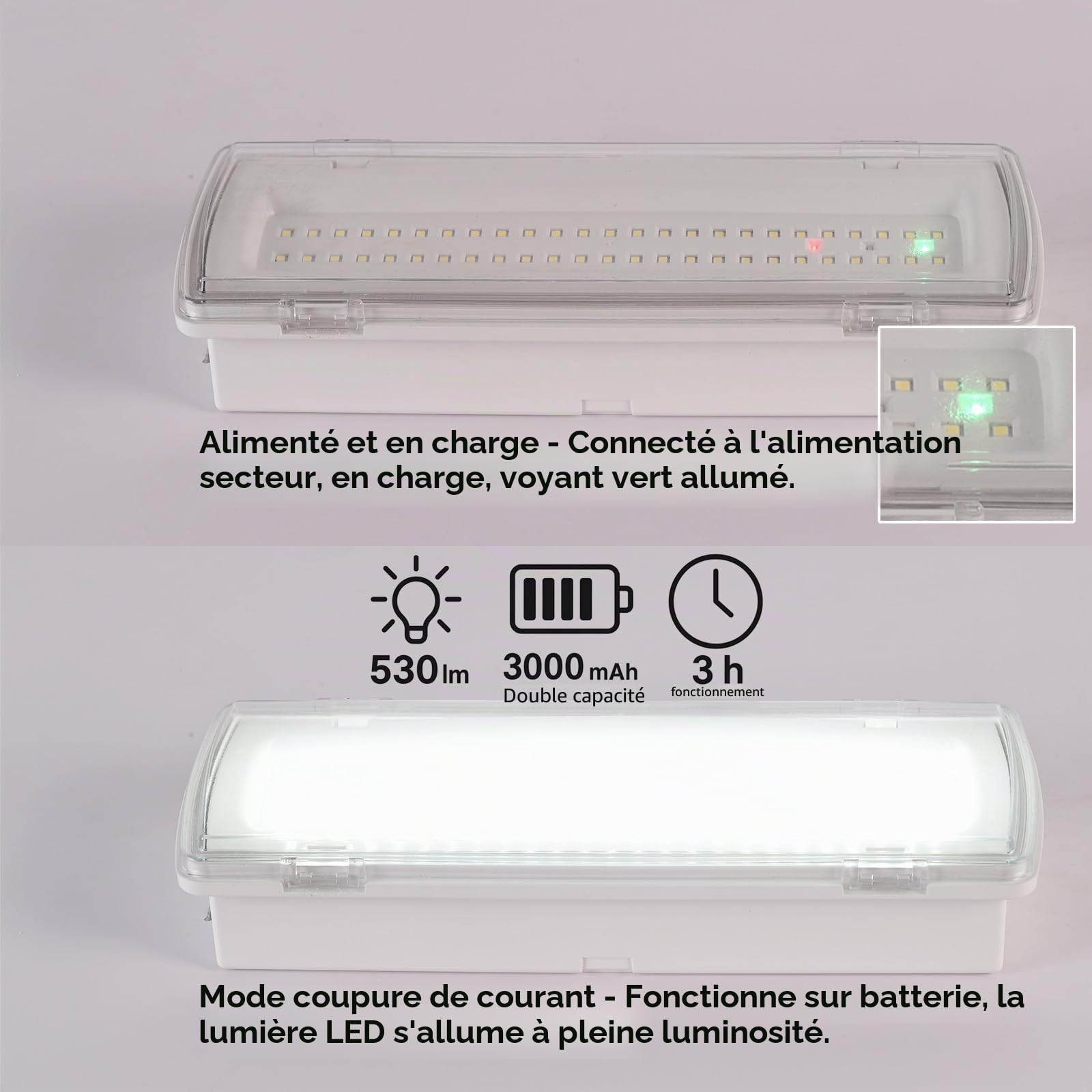 Alpinaluz Lumière d'urgence LED étanche IP54 4 W 530 lm - Encastrable avec clips ou surface - 3h d'autonomie - Résistant à l'eau et à la poussière - Usage professionnel et industriel, intérieur et