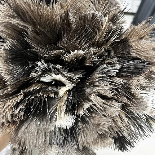 Image of 19.7 Inch Ostrich Feather Duster - Soft Dusting Brush for Home, Office, and Furniture Cleaning (Brown)