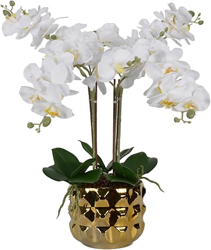 W&W Arreglo de orquídeas blancas artificiales en maceta de cerámica dorada para decoración del hogar en interiores, 22 pulgadas