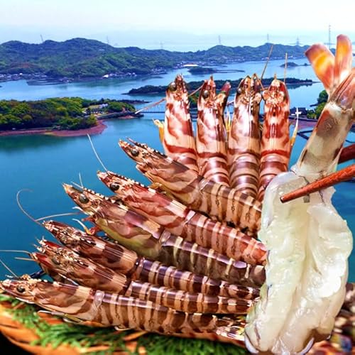 ԊCV ܂܁yz ԊCV 250giML 8`12j F{VY ۘa Ԃ xĂ hg {B VN N}Gr