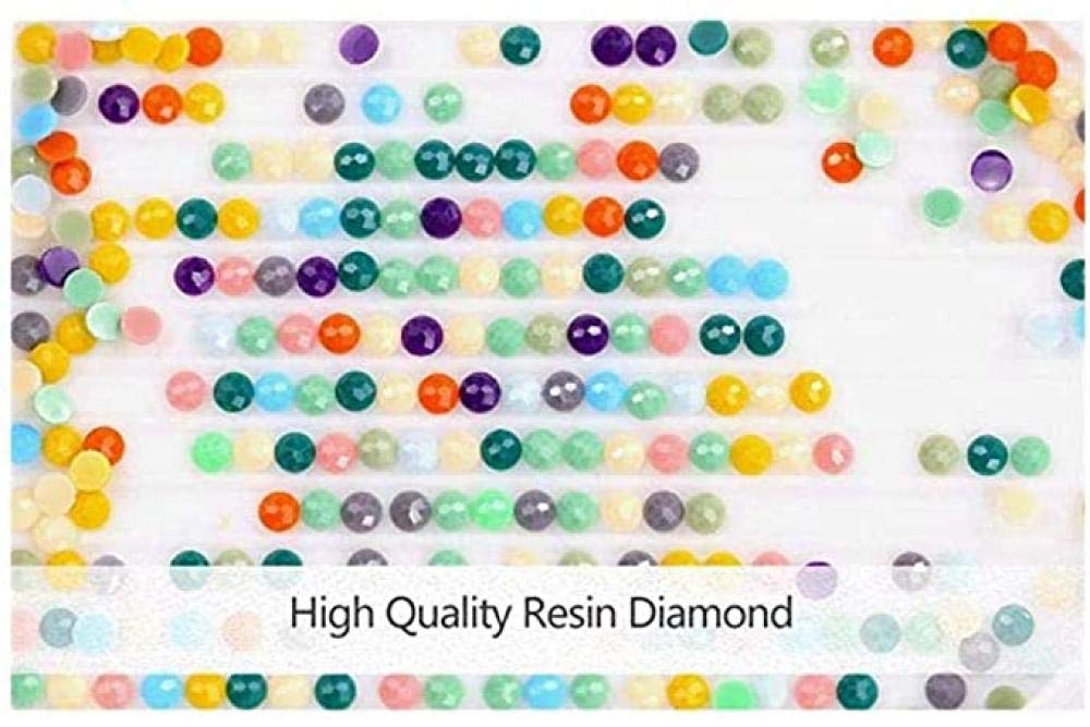 Diy 5D Diamond Painting Kits Strass Complet Mosaïque Animal Point De