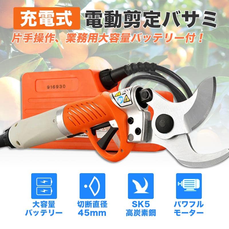 充電式剪定ばさみ 電動ハサミ 剪定鋏 コードレス 充電式 2個バッテリー付き 楽天市場】電動はさみ 充電式剪定ばさみ 電動剪定鋏 電動はさみ