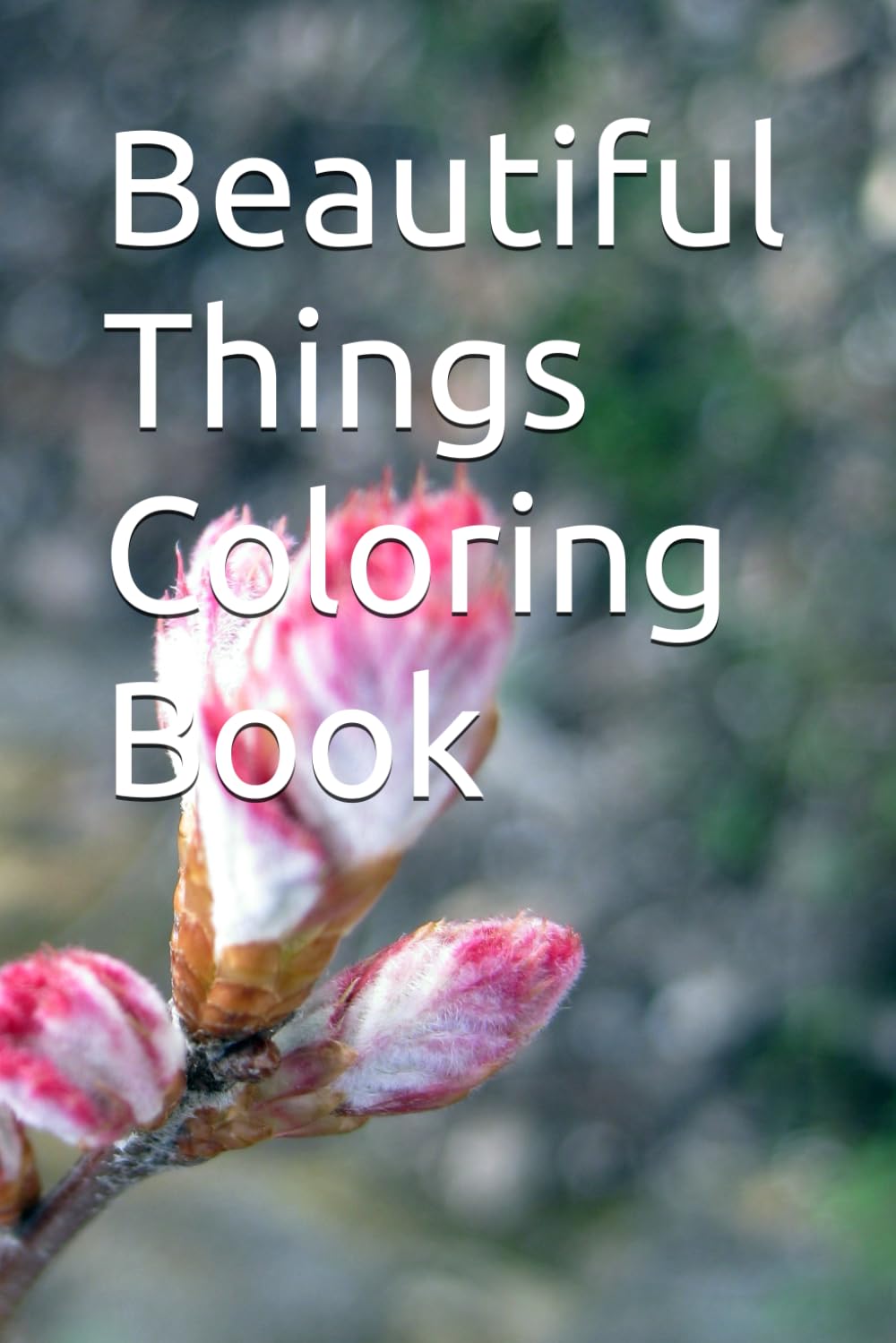 Beautiful Things Coloring Book