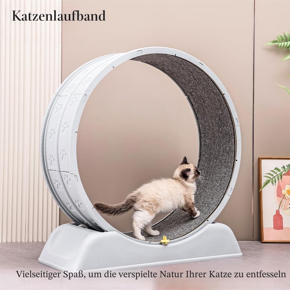 Laufrad für Katzen, Laufband, Ultraleises Sicherheits-Trainingsspielzeug für Katzen mit Verriegelungsmechanismus, Abnehmbarer Laufbahn mit Teppich zum Laufen & Kratzen (Grau)