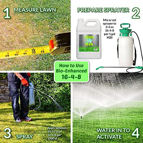 Best Lawn Fertilizers For Texas For Every Need InDetail Reviews Www