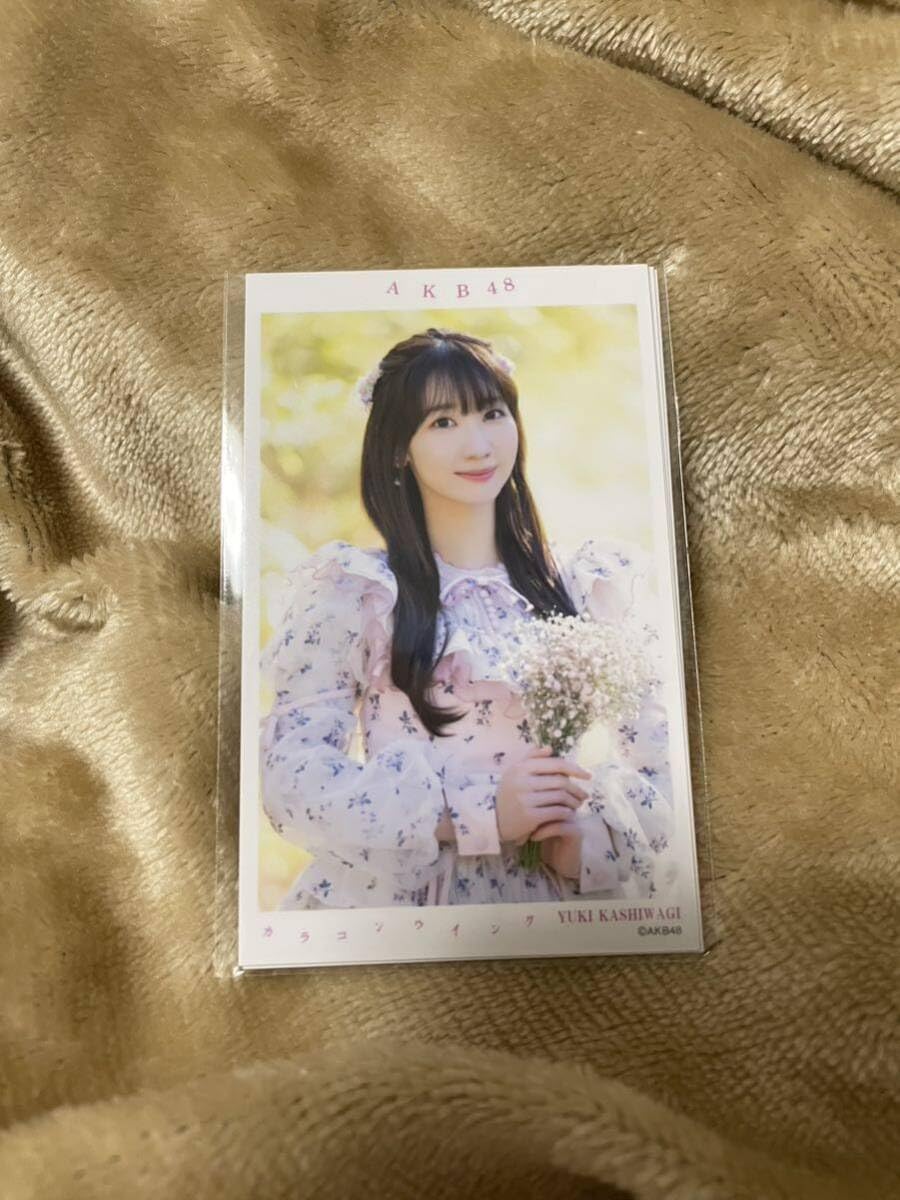 Amazon.co.jp: AKB48 柏木由紀 選抜記念ハーフサイズ 生写真4枚セット 