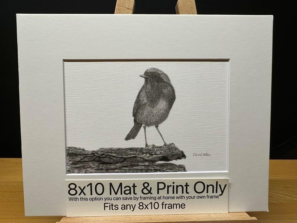 Hand Drawn Robin Bird Graphite Pencil Art Sketch Drawing Print Picture Limited Edition ~ Titled 'Dawn's New Song' by David Allen (8x10 Mat & Print Only)