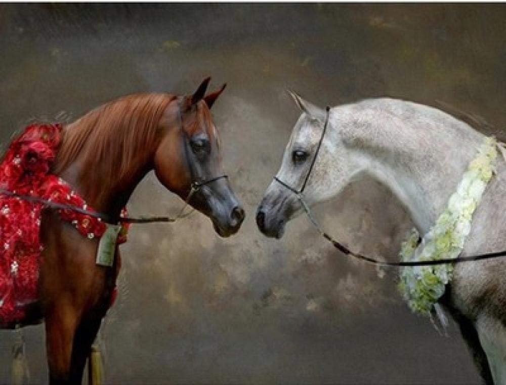 Mosaïque diamant chevaux broderie 5D haut de gamme perles résine carrées