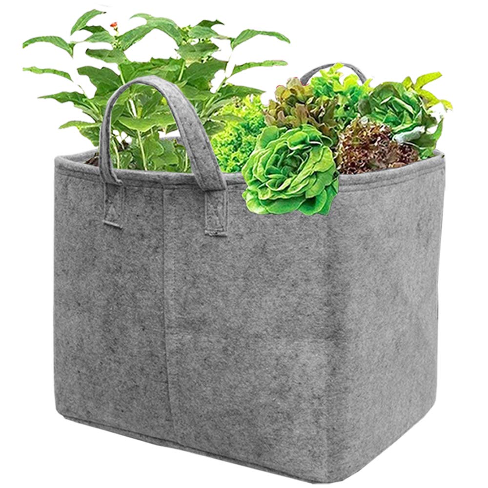 See full amazon price history chart for HIPPO - Rectangle Grow Bag Pots - Non Woven - for Plants & Gardening - Grey Color (10 Pcs, 12" X 16" X 12") HIPPO - Rectangle Grow Bag Pots - Non Woven - for Plants & Gardening - Grey Color (10 Pcs, 12" X 16" X 12") (B08GFD6FVZ) Amazon Price History, Amazon Price Tracker