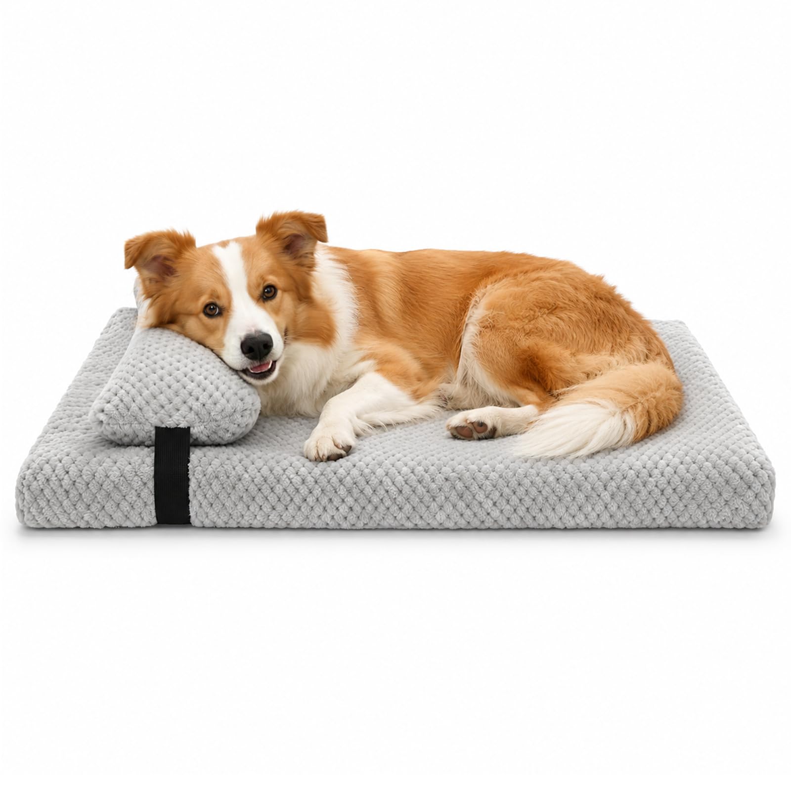 Newthinking Dog Bed Medium, Orthopedic Dog Bed with Memory Foam and Pillow