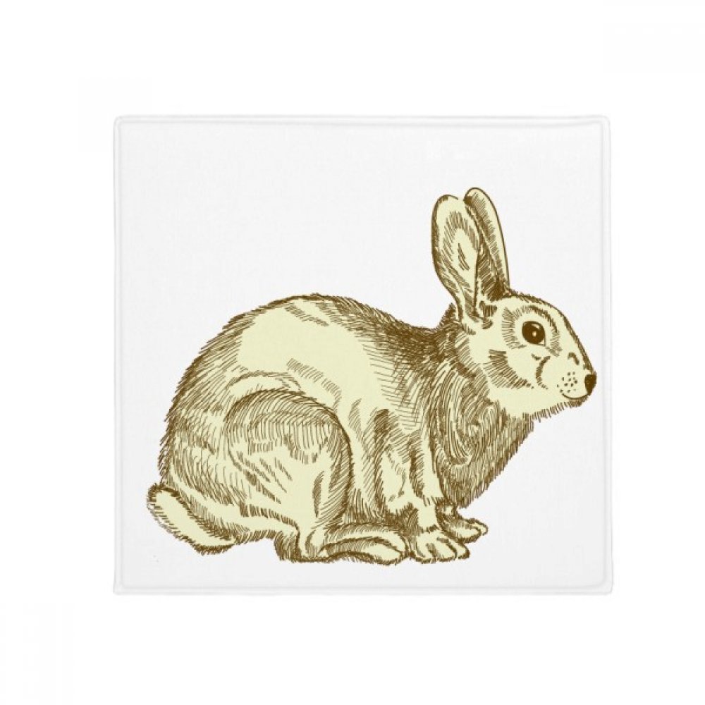 Tapis de sol Pâques pour chien et chat 50x50cm avec lapin multicolore imprimé pour entrée