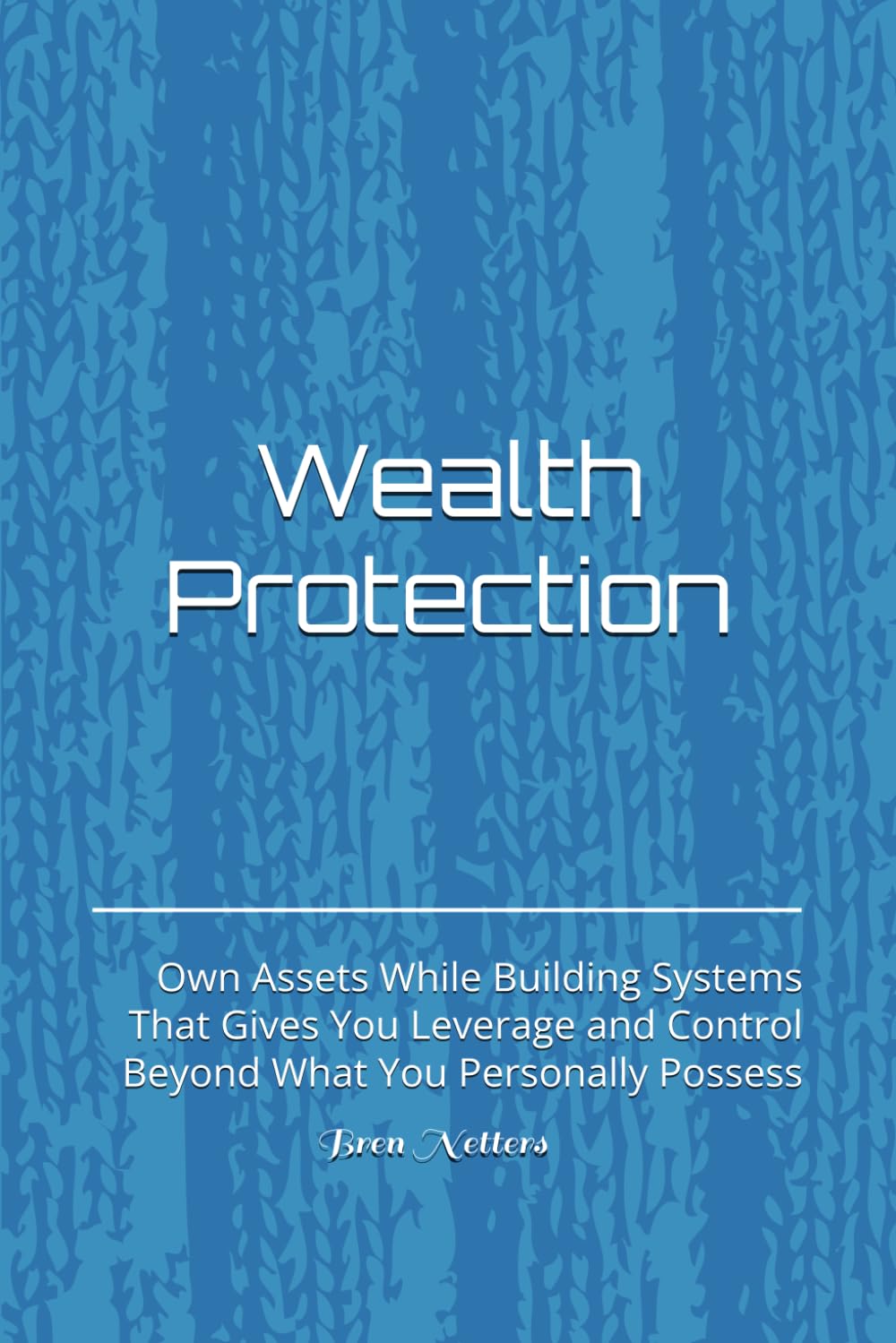 Wealth Protection: Own Assets While Building Systems That Gives You Leverage and Control Beyond What You Personally Possess