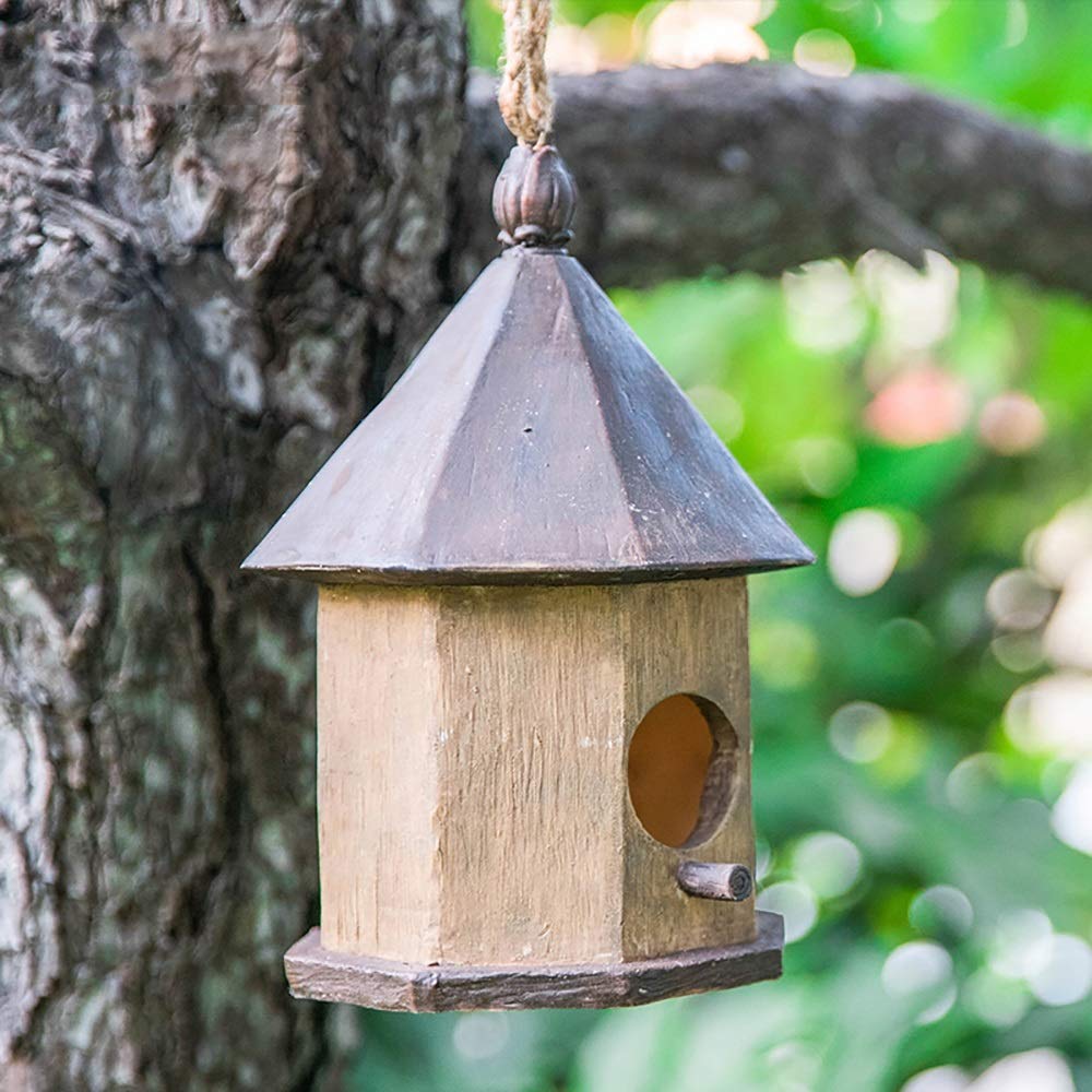 Amazon.co.jp: バードハウス 木製の鳥の家、小鳥の巣箱キャビン屋外