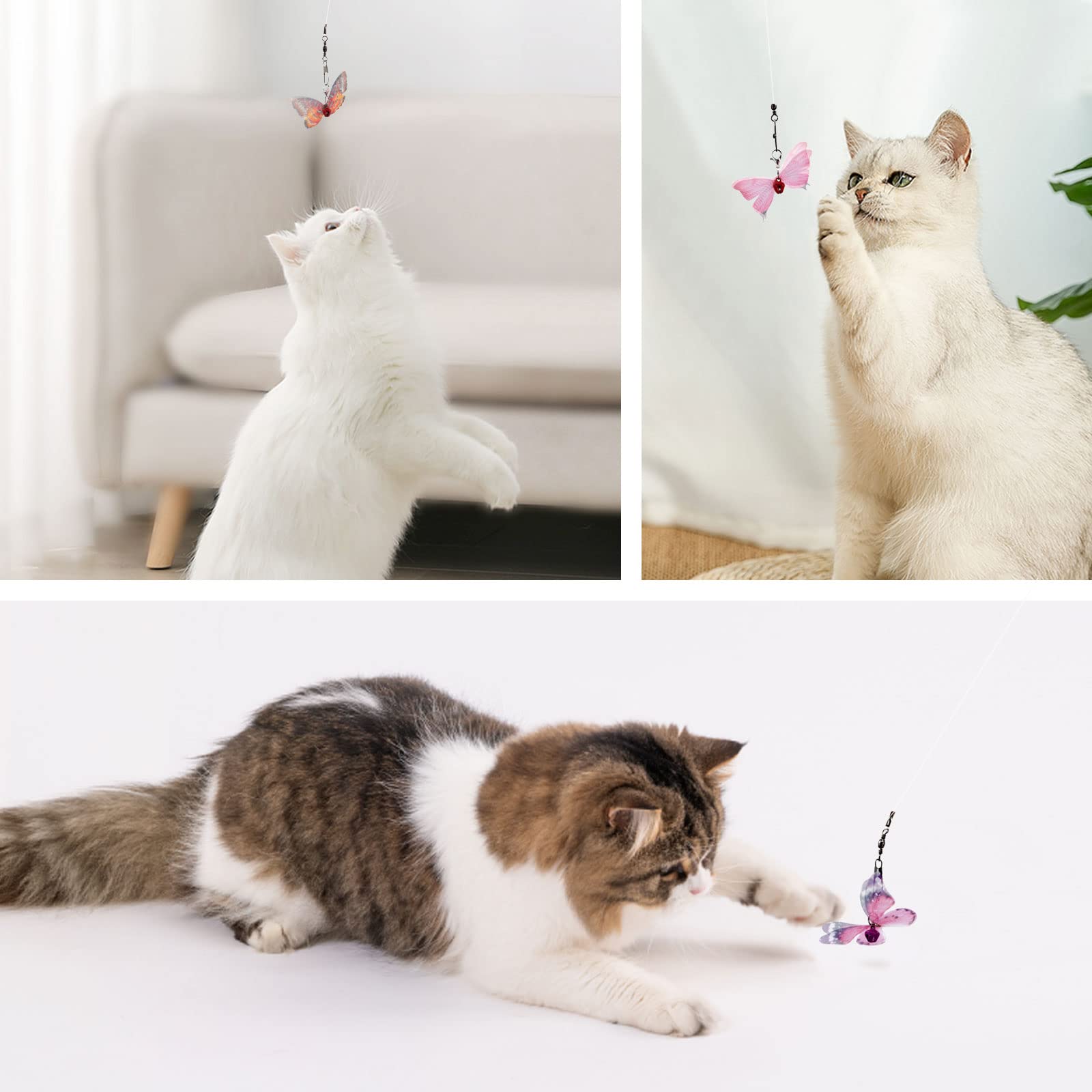 Amazon | SONGWAY 猫おもちゃ 蝶々 交換用 10チョウチョ 収納ボックス