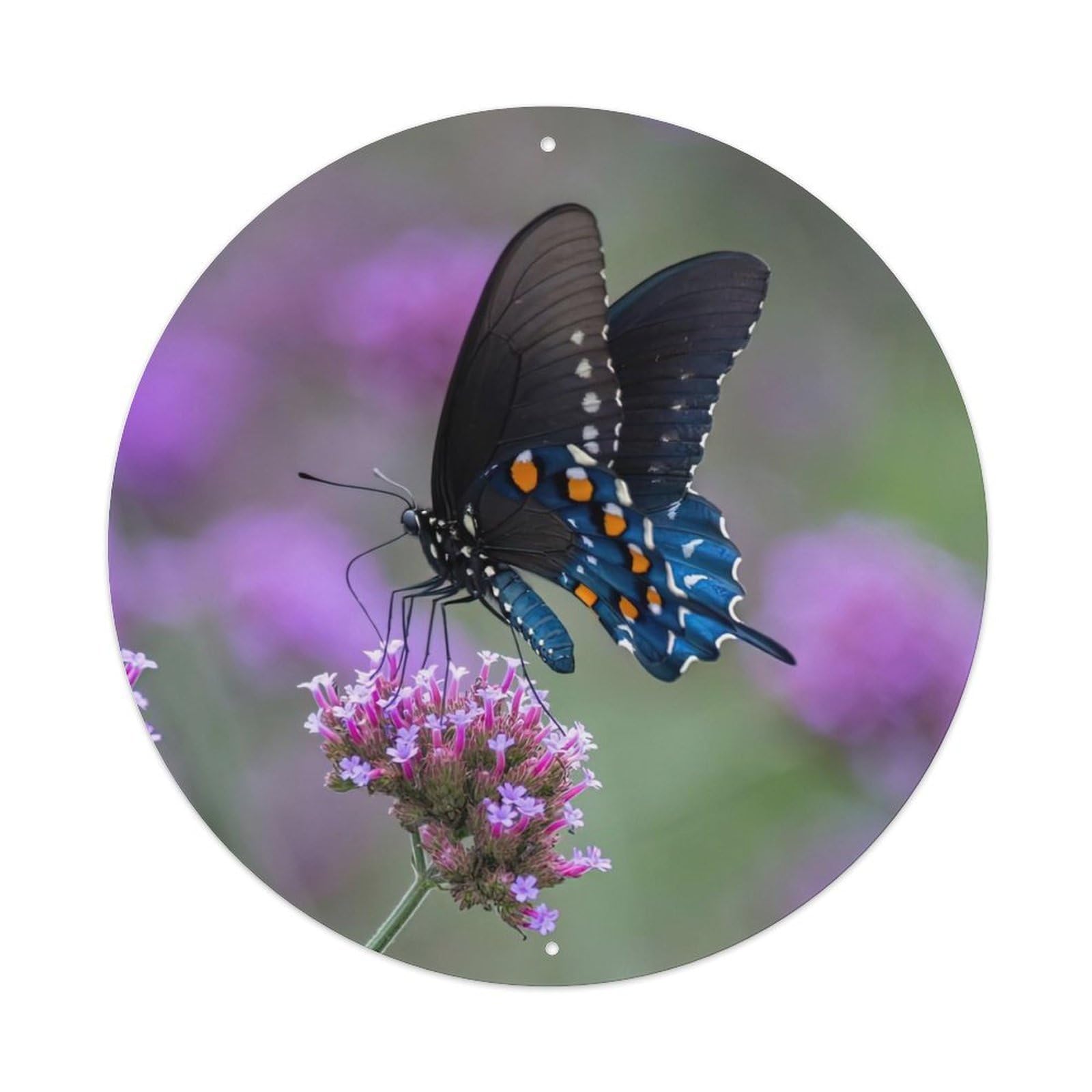 Insects Pipa Swallowtail Butterfly Vintage Metal Tin Sign Plaque Wall Decor for Cafe, Club Bar, Office, Garden Metal Poster 8x8Inch