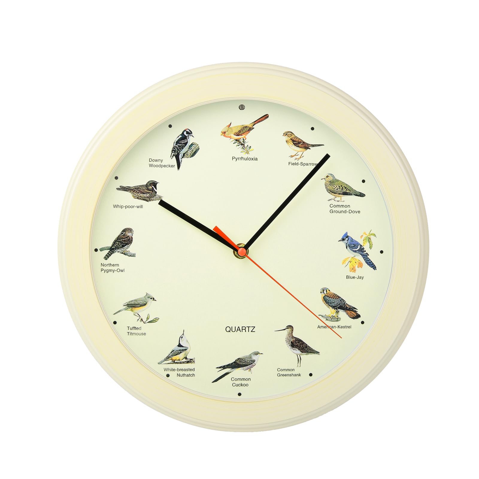 Belinlen 13 Inch Singing Bird Wall Clock Light Sensor Bird Clock That Sings on Hour (White Wood Grain)
