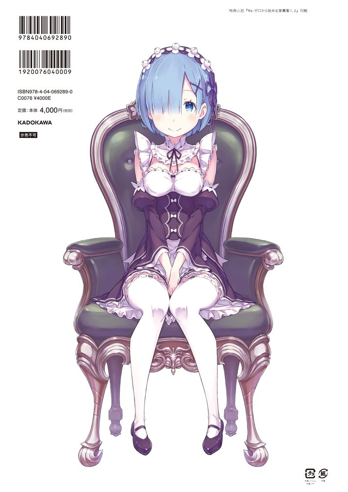 Re ゼロから始める異世界生活 大塚真一郎 Art Works Re Box hzrs4l39 Laoofficialgazette Gov La