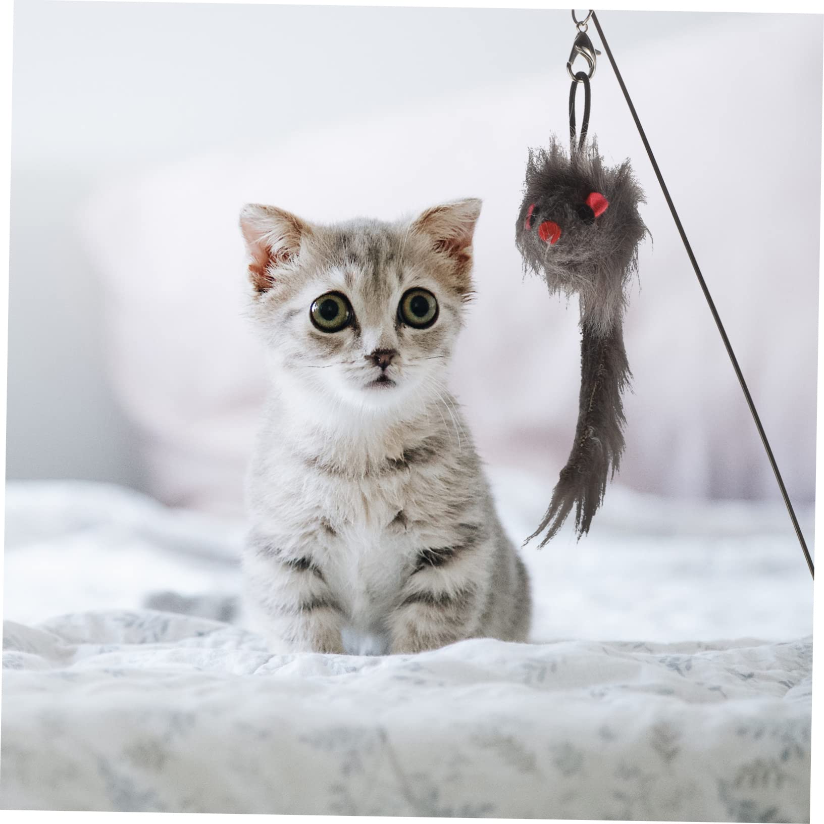 INOOMP 4pezzi Interattivo Per Gattini Attività Indoor Per e Divertimento Feline